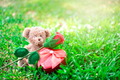 Close-up of small stuffed toy on field