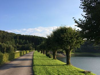 Trees on landscape against sky