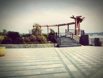View of tree against sky