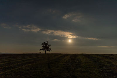 Scenic view of field against sky during sunset