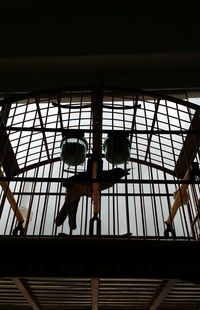 Low angle view of man on ceiling