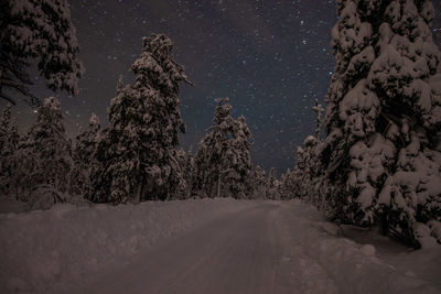 Snow covered road amidst trees against sky at night