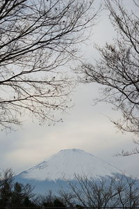 Low angle view of bare tree against sky during winter