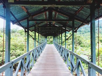 View of footbridge in forest