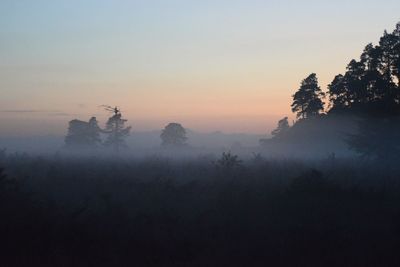 Trees on landscape against sky during sunset