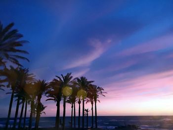 Palm trees on beach against sky during sunset