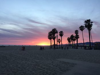 Silhouette palm trees on beach at sunset