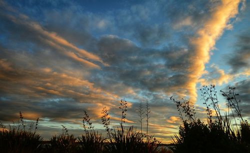 Low angle view of cloudy sky