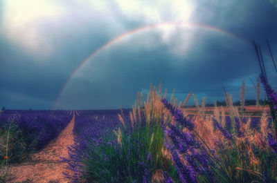 Scenic view of grassy field against cloudy sky