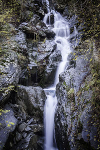 View of waterfall in forest