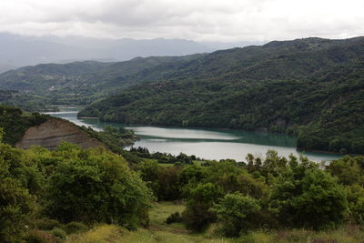 Scenic view of river amidst trees against sky