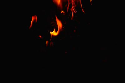 Close-up of bonfire at night