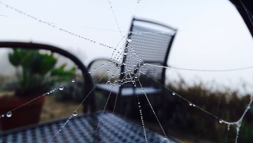 Close-up of spider web on window