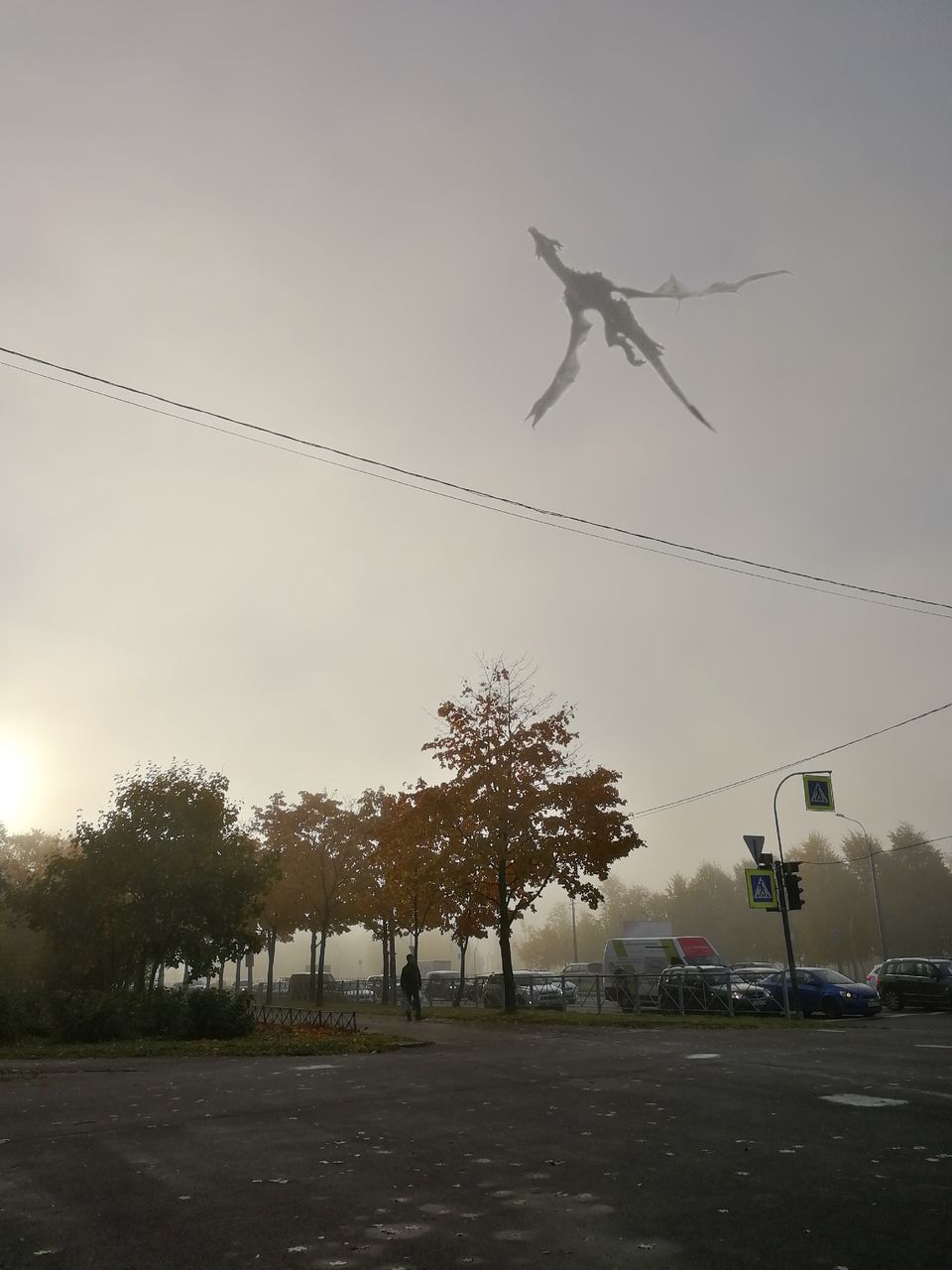 sky, tree, flying, nature, transportation, plant, cable, no people, low angle view, air vehicle, mid-air, mode of transportation, airplane, street, outdoors, day, motion, electricity, animal, bird