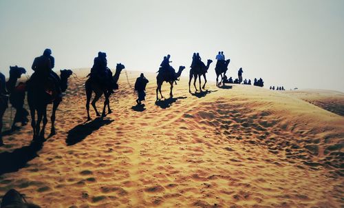 Group of people riding in desert