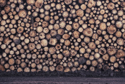 Full frame shot of logs in forest