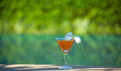 Close-up of drink on table