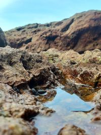 Surface level of rocks on shore against sky