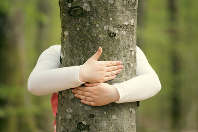 Cropped hand of man holding tree trunk