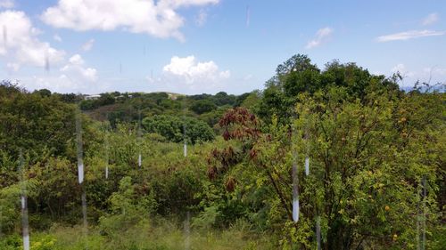 Scenic view of field against cloudy sky