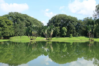 Scenic view of lake by trees against sky