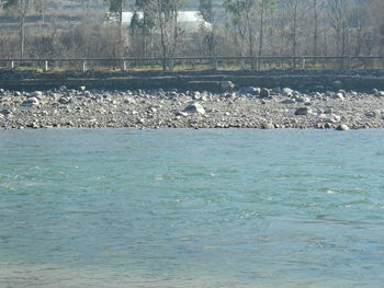 Bird in water against sky