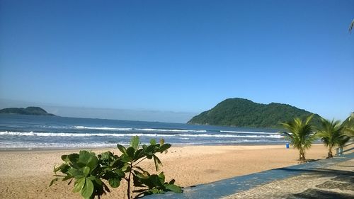 Scenic view of beach