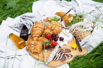 Picnic in the field with berries, juice, cheese, sausage and sweet croissants