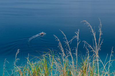 Scenic view of lake