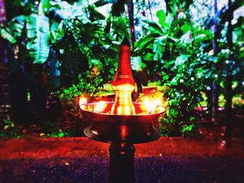 Close-up of illuminated lamp against plants