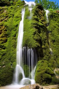 Scenic view of waterfall in forest