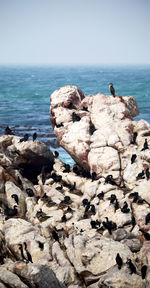 Rocks on beach against sky