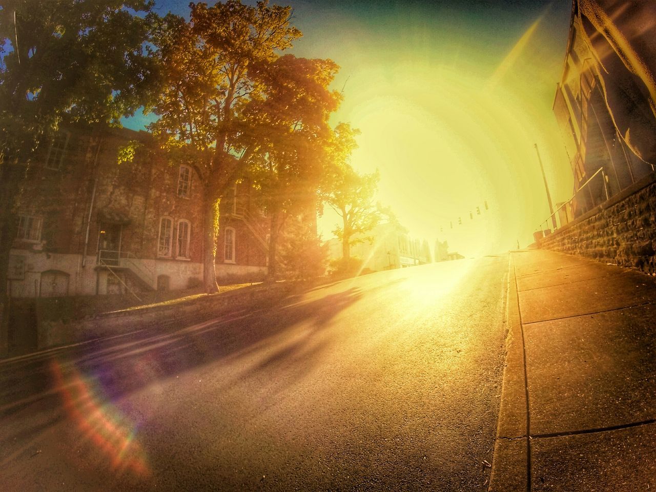the way forward, transportation, sunbeam, sun, lens flare, sunlight, road, tree, diminishing perspective, street, vanishing point, built structure, sky, no people, outdoors, car, sunny, empty, architecture, building exterior