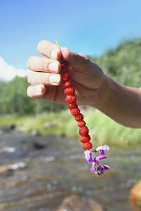 Hand holding wild strawberries