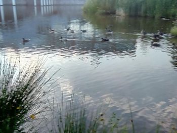 Scenic view of lake