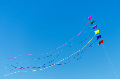 Low angle view of flowers against clear blue sky