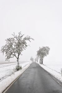 Road amidst trees against clear sky during winter