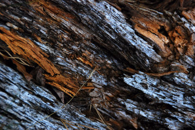 Full frame shot of wood
