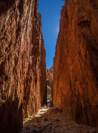 Narrow road along trees