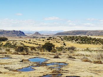 Scenic view of landscape against sky