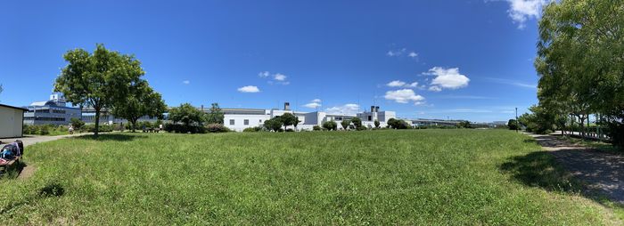 Panoramic shot of trees on field against sky