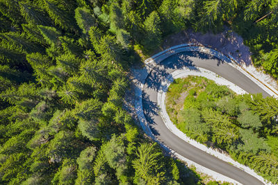 High angle view of road amidst trees in forest