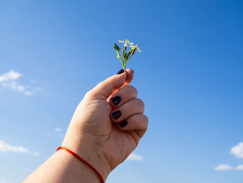 Midsection of person holding plant against sky