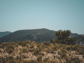 Scenic view of landscape against clear sky