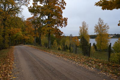 Road amidst trees against sky during autumn