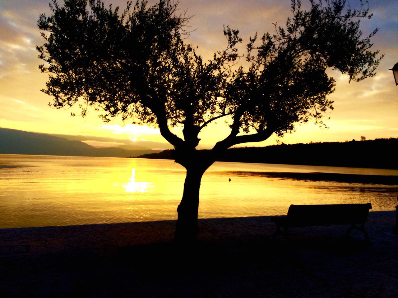 sunset, silhouette, tranquil scene, tranquility, scenics, water, beauty in nature, sun, sky, tree, nature, idyllic, sea, reflection, lake, orange color, horizon over water, tree trunk, sunlight, branch