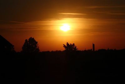 Silhouette of trees at sunset