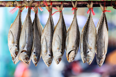 Close-up of fish for sale in market