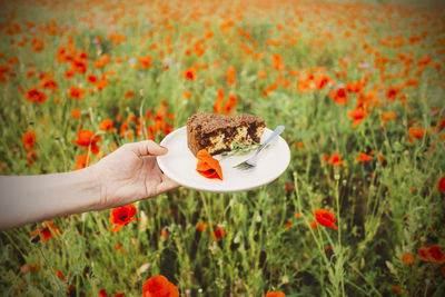 Hand holding red flower on field