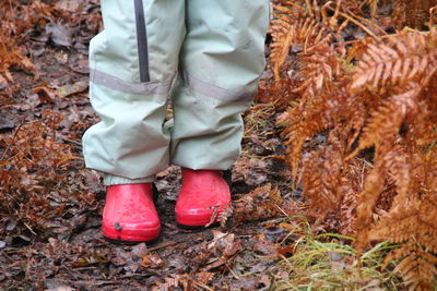 Low section of person standing on field during autumn